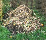COMPOST